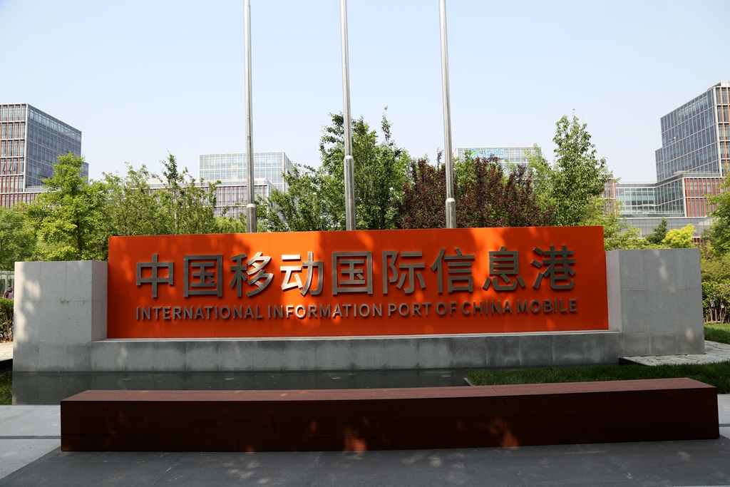 在线播放无码后入内射少妇