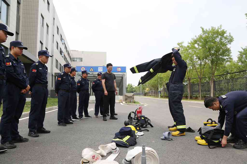 在线播放无码后入内射少妇